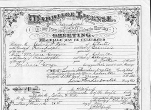 Marriage License of Edwin F. Wells and Minnie Gouge