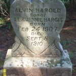 Hargis, Alvin Harold (Son of A. L. & Jennie Hargis)
