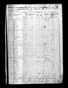 1860 Randolph County Illinois Census – Page 5