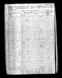 1860 Randolph County Illinois Census – Page 8