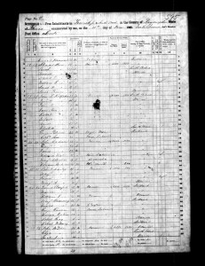 1860 Randolph County Illinois Census – Page 9