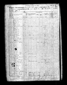 1860 Randolph County Illinois Census – Page 10