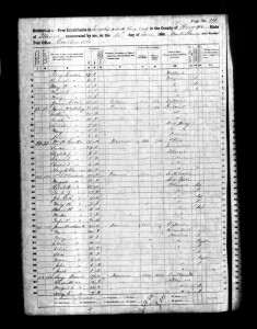 1860 Randolph County Illinois Census – Page 14