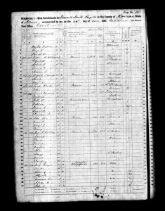 1860 Randolph County Illinois Census – Page 20