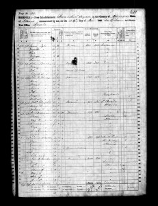 1860 Randolph County Illinois Census – Page 25