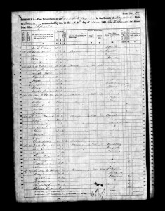 1860 Randolph County Illinois Census – Page 28