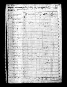 1860 Randolph County Illinois Census – Page 29