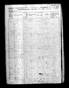 1860 Randolph County Illinois Census – Page 36