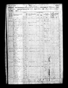 1860 Randolph County Illinois Census – Page 39