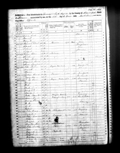 1860 Randolph County Illinois Census – Page 40