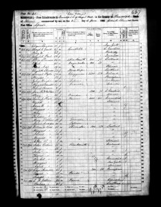 1860 Randolph County Illinois Census – Page 41