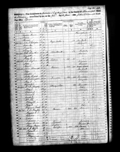 1860 Randolph County Illinois Census – Page 42