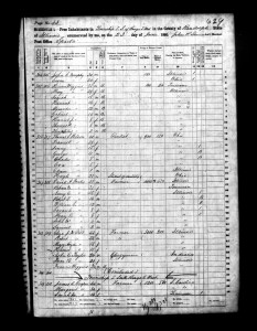 1860 Randolph County Illinois Census – Page 43