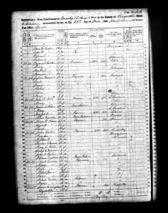 1860 Randolph County Illinois Census – Page 44