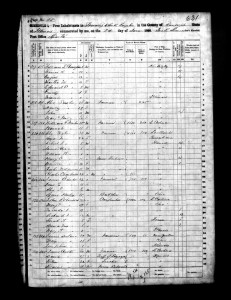 1860 Randolph County Illinois Census – Page 45
