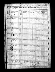 1860 Randolph County Illinois Census – Page 49