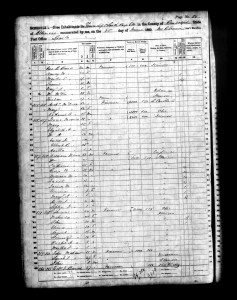 1860 Randolph County Illinois Census – Page 50