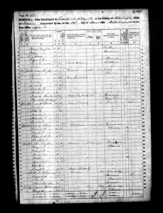 1860 Randolph County Illinois Census – Page 55