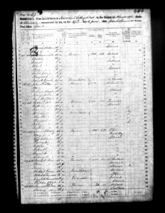 1860 Randolph County Illinois Census – Page 57