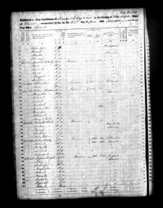 1860 Randolph County Illinois Census – Page 60