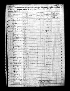 1860 Randolph County Illinois Census – Page 61