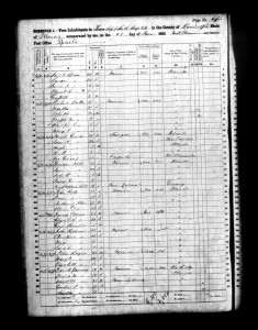 1860 Randolph County Illinois Census – Page 66