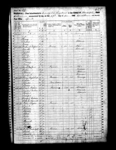 1860 Randolph County Illinois Census – Page 69