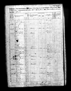1860 Randolph County Illinois Census – Page 72