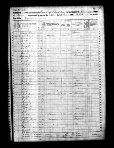1860 Randolph County Illinois Census – Page 73
