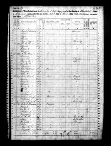 1860 Randolph County Illinois Census – Page 79