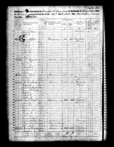 1860 Randolph County Illinois Census – Page 80